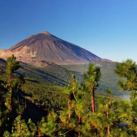Teide House Experience Tenerife Nature